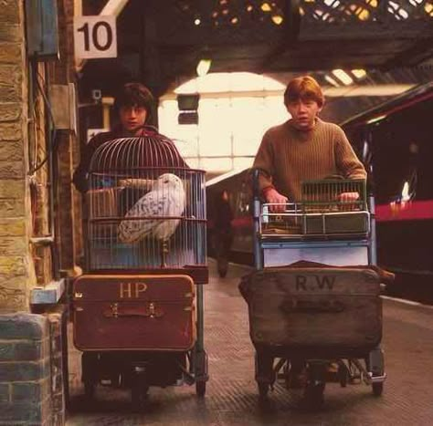 Platform 9 3/4 is where J.K. Rowling's parents met. | 11 Things You Might Not Know About J.K. Rowling Film Harry Potter, Glume Harry Potter, Harry Potter Wall, Buku Harry Potter, Images Harry Potter, Septième Art, Harry Potter Tumblr, Lord Voldemort, Harry Potter Pictures