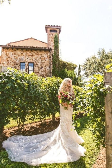 romantic vineyard wedding photo ideas Vineyard Wedding Dress The Bride, Vineyard Wedding Photos, Tuscan Vineyard, Wedding Winery, Vineyard Weddings, Groomsmen Outfits, Wedding Robe, Wedding Top, Wedding Boho