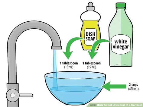 4 Ways to Get Urine Out of a Car Seat - wikiHow Clean Car Seats, Pee Smell, Urine Smells, Urine Stains, Clean Car, Car Sit, Dish Detergent, Liquid Dish Soap, Car Cleaning Hacks