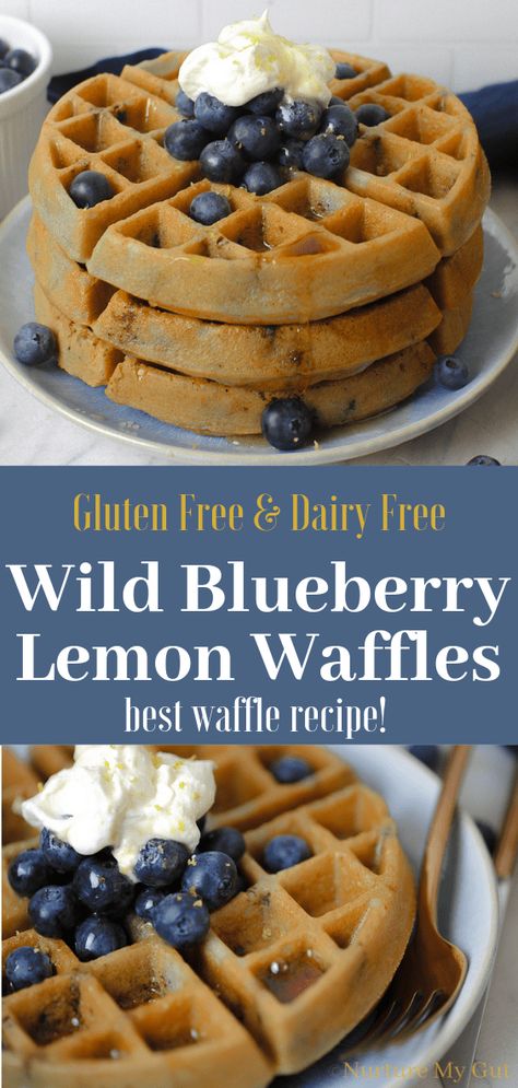 Waffles Dairy Free, Lemon Waffles, Gundry Recipes, Gf Cupcakes, Blueberry Waffles Recipe, Dairy Free Waffles, Best Waffle Recipe, Healthy Waffles, Blueberry Waffles