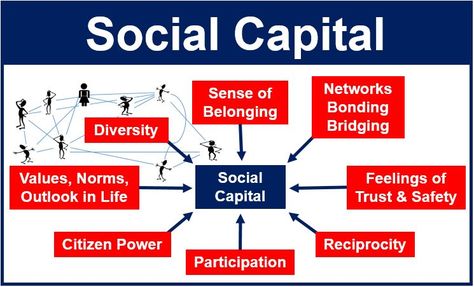 Social Capital Community Psychology, Social Capital, Social Action, Social Entrepreneurship, Infographic Marketing, Social Enterprise, Life Improvement, Sociology, Community Building