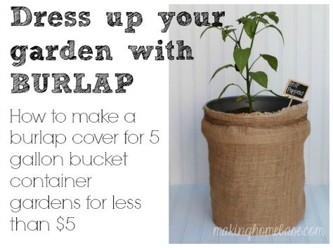 Hide 5 Gallon Buckets With DIY Burlap Bags http://www.hometalk.com/1662318/hide-5-gallon-buckets-with-diy-burlap-bags Garden Buckets, Diy Burlap Bags, Tomatoes In Containers, Yard Art Crafts, Garden Prepping, 5 Gallon Buckets, Growing Tomatoes In Containers, Grow Tomatoes, Diy Burlap