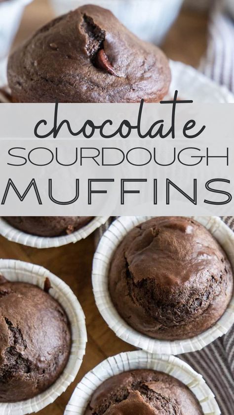 Sourdough Discard Cupcakes, Discard Chocolate Muffins, Chocolate Sourdough Muffins, Chocolate Muffins Sourdough, Sourdough Discard Chocolate Chip Muffins, Sourdough Chocolate Muffins Recipe, Discard Chocolate Chip Muffins, Sourdough Chocolate Muffins, Chocolate Sourdough Discard Muffins