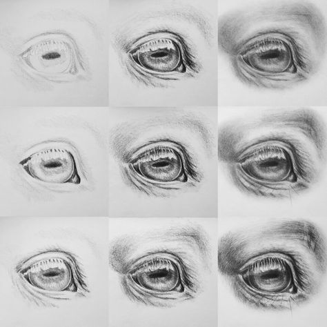 Tutorial: how to draw a realistic horse eye with pencil www.ars-rava.de Realistic Horse Eye Drawing, Drawing Horse Eyes, How To Draw Horse Eyes, Horse Eyes Drawing, How To Paint A Horse, Horse Art Drawing Sketches, How To Draw Horse, Horses Anatomy, Realistic Tutorial