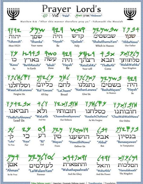 Learn Hebrew Alphabet, Hebrew Language Learning, Hebrew Language Words, Hebrew Vocabulary, Hebrew Writing, Paleo Hebrew, Torah Study, Hebrew Prayers, Hebrew Lessons