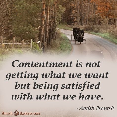 Amish Quotes, Amish Proverbs, Mental Happiness, Amish Living, Old Order, Amish Culture, Mental Balance, Amish Life, Plain People