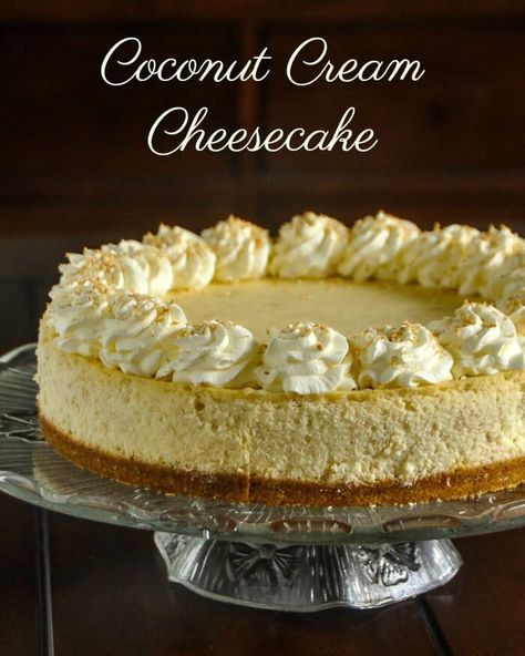 Coconut Cream Cheesecake, Cheesecake Bread, Coconut Cookie, Coconut Cream Pie Recipes, Coconut Cheesecake, Cream Cheesecake, Rock Recipes, Cheesecake Pudding, Lime Cheesecake