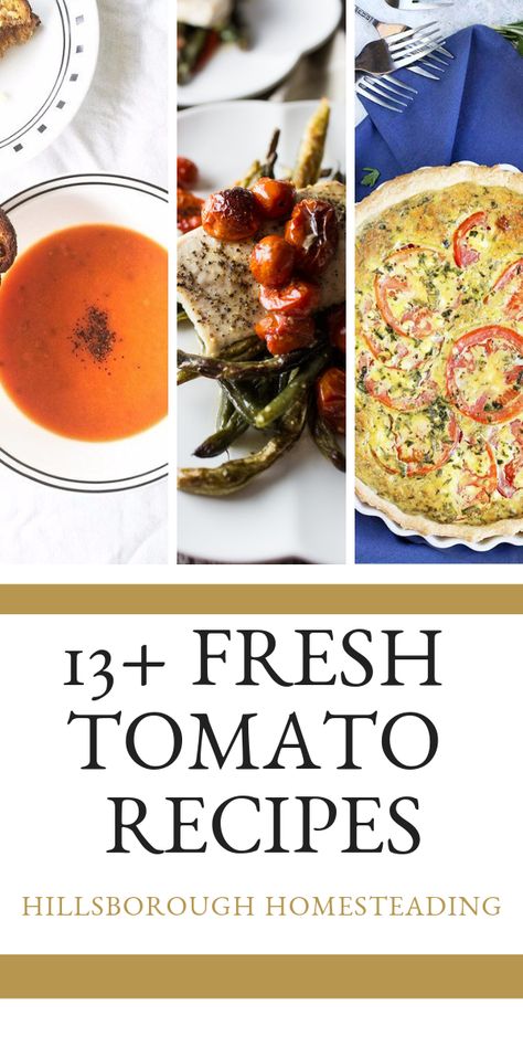 There's nothing better than fresh from the garden tomatoes! To celebrate, I've collected the best fresh tomato recipes - including dinners, sauces, soups, salads, appetizers and salsas. (Even recipes to make and freeze). These easy, healthy dishes will put your tomato harvest to good use! | Hillsborough Homesteading  #recipe #food #yum #cooking #home #healthy #keto Fresh Tomato Pasta Recipes, Garden Tomato Recipes, Fresh Tomato Marinara Sauce, Lots Of Tomatoes, Fresh Tomato Soup, Fresh Tomato Pasta, Tomato Pasta Recipe, Cherry Tomato Recipes, Fried Tomatoes