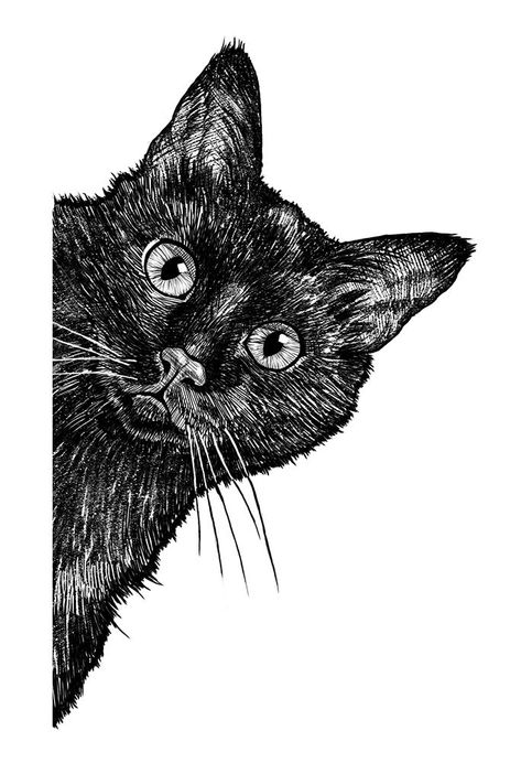 Cat Drawing Black, Black Cat Drawing, Cat Pen, Cat Drawing Tutorial, Cats Art Drawing, Cat Sketch, Linocut Art, Drawing Black, Black Cat Art