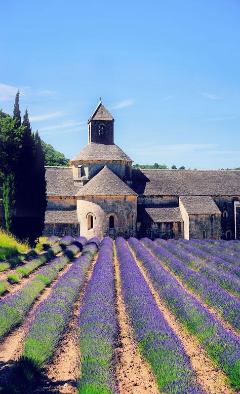 Even if you’ve never been to Provence, this colorful part of France can conjure images of lavender fields in late afternoon light, sun-soaked villas dotting the green countryside, sprawling vineyards, tiny villages with charming alleyways, and ritzy film festivals frequented by the rich and famous. Provence France is SO beautiful and is a must-visit. Here are 7 reasons why you need to visit Provence. #Provence #ProvenceRegion #Provence2019 #ProvenceFrance #France #France2019 #FranceTravel France Aesthetic, Best Vacation Destinations, Afternoon Light, Film Festivals, Rich And Famous, Lavender Field, Chateau France, Late Afternoon, Provence France