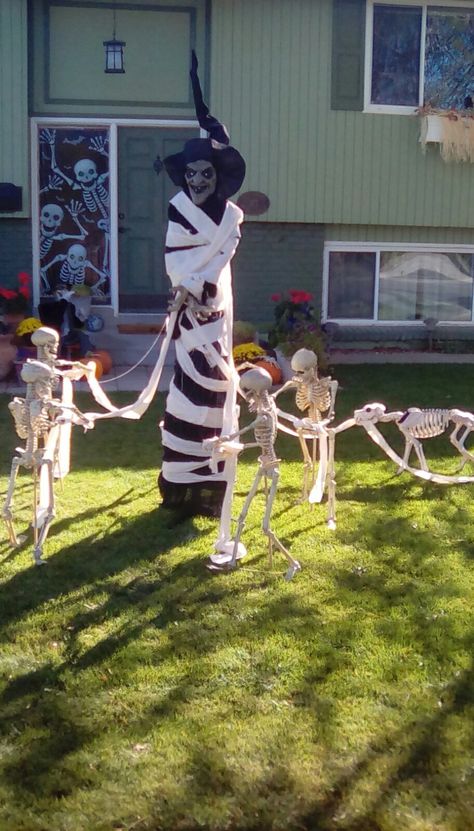 Witch And Skeleton Decor, Skeletons Front Yard, Skeleton Yard Display Funny, Small Skeleton Decorating Ideas, Posable Skeleton Ideas Outside, Skeleton Yard Ideas, Funny Skeleton Poses Halloween, Skeleton Yard Scenes, Halloween Skeletons Yard Funny