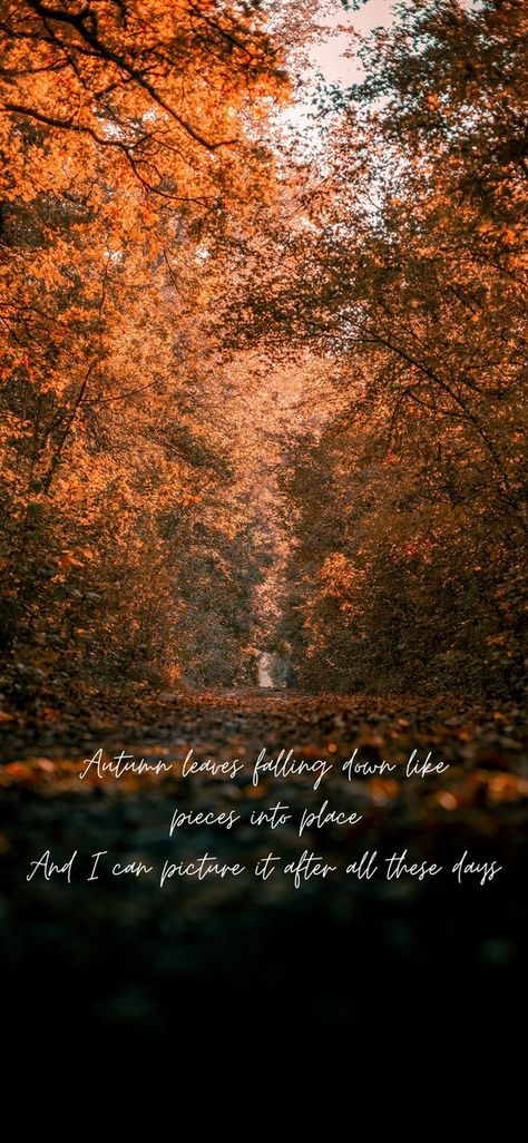 Taylor Swift Fall Lyrics Wallpaper, Fall Aesthetic Wallpaper Taylor Swift, All To Well Lyrics Wallpaper, Taylor Swift October Wallpaper, All Too Well Phone Wallpaper, Autumn Song Lyrics, Taylor Swift Fall Aesthetic Lyrics, All Too Well Wallpaper Lyrics, Taylor Swift Fall Background