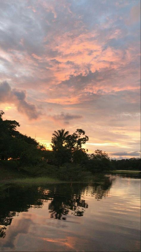 Bleach Pictures, Dark Forest Aesthetic, Pretty Wallpapers Tumblr, Sky Photography Nature, Fotografi Vintage, Night Scenery, Sky Pictures, Pretty Landscapes, Pretty Sky