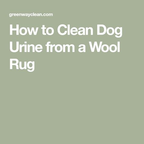 Cleaning Pet Urine, Dog Pee Smell, Pee Stains, Cleaning Area Rugs, Pee Smell, Urine Stains, Urine Smells, Dog Urine, Rope Rug