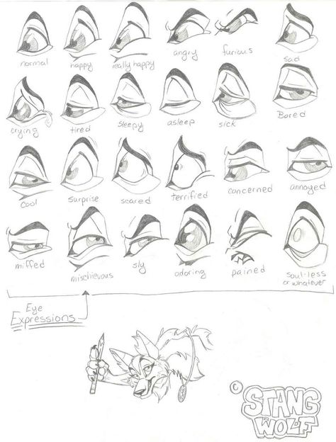 Eye Expressions by ~StangWolf on deviantART Animal Expressions Drawing, Cat Expressions Drawing, Eyes Expression, Disney Eyes, Facial Expressions Drawing, Eyes Ideas, Lion King Drawings, Cat Expressions, Realistic Eye Drawing