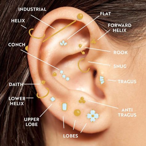 Nom Piercing Oreille, Piercing Oreille Nom, Ear Piercings Placement Chart, Anti Helix Piercing, Different Ear Piercings, Ear Piercings Chart, Piercing Chart, Lobe Piercing, Helix Piercing