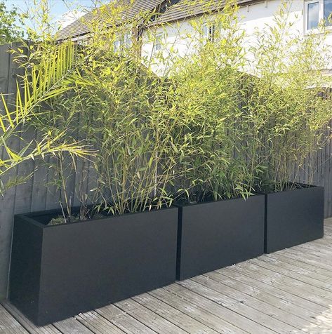 Large modern bamboo trough planters in black installed on our decking by Arti Green Ltd Contemporary garden design. Hedge Plants, Garden Troughs, Small Front Gardens, Garden Wall Designs, Patio Grande, Bamboo Planter, Contemporary Garden Design, Courtyard Gardens Design, Black Planters