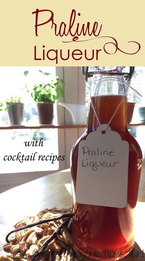 Praline Liqueur and Pecan Extract Homemade Liqueur Recipes, Brown Sugar Simple Syrup, Strawberry Liqueur, Vodka Mixes, Homemade Alcohol, Homemade Liquor, Liquor Recipes, Moonshine Recipes, Liqueurs Recipes