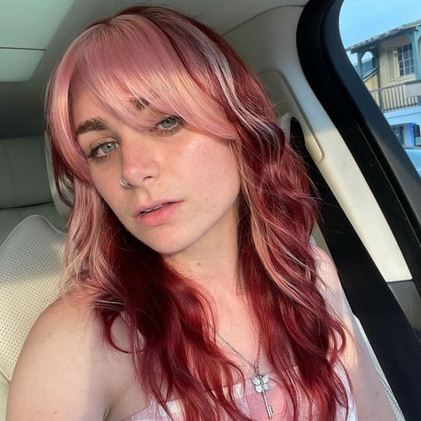 Dark Red And Light Pink Hair, Red Into Pink Hair, Red And Light Red Hair, Blonde Cherry Hair, Dyed Hair Sections, Grown Out Split Dye, Mixed Pink Hair, Dark Red Split Dye, Cherry Hair Blonde Highlights