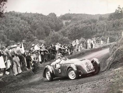 Eric Cecil in his Silverstone Healey at the Brackenhurst Hillclimb in Kenya. Hill Climb, Old Money, Kenya, Motorcycles, Money, Cars