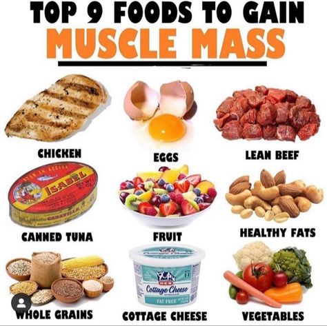 Muscle Gain Meal Plan, Healthy Weight Gain Foods, Food To Gain Muscle, Weight Gain Supplements, Gain Muscle Mass, Muscle Building Foods, Muscle Building Diet, Healthy High Protein Meals, Bodybuilding Diet