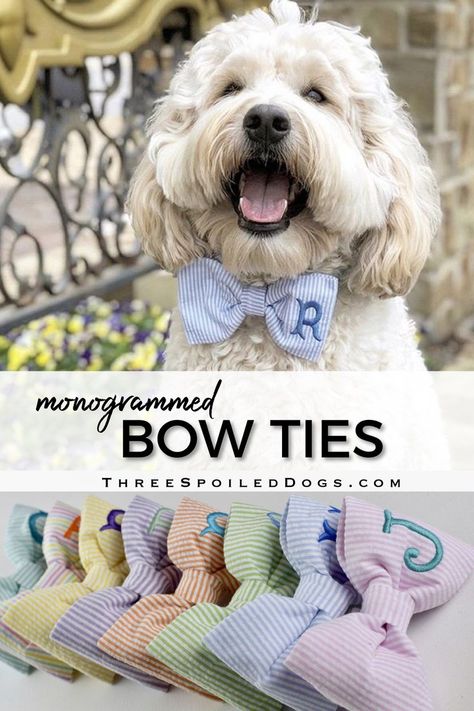 Personalized Dog Beds, Animal Therapy, Dog Bow Ties, Spoiled Dogs, Gender Reveals, Wood Dog, Dog Boutique, Gifts For Dog Lovers, Dog Scarfs