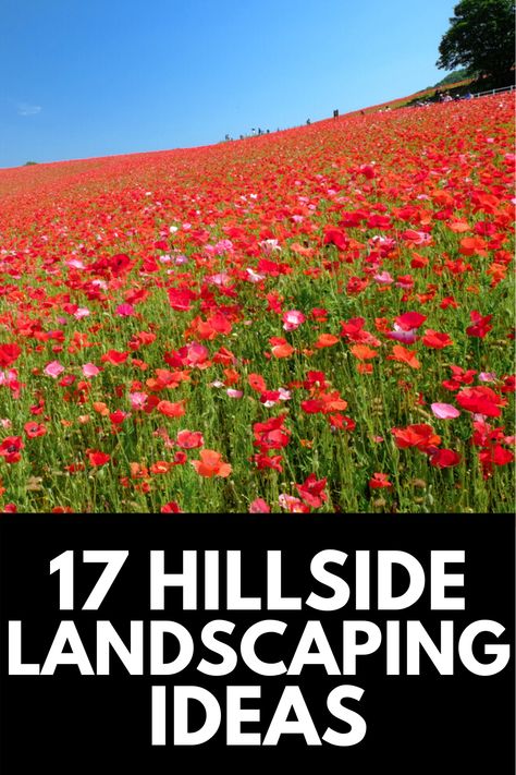 Living in the hills is beautiful... until you have to landscape it. Here, we share 17 of the most beautiful hillside landscaping ideas to add some color to your yard (while also being practical)! Read more at OwnTheYard.com! California Hillside Landscaping, Landscaping For House On Hill, Landscape Sloped Side Yard, House On Hillside Sloped Yard, What To Plant On A Hillside, Landscape Steep Hill, Hill Flower Bed Ideas, Hillside Landscaping Drawing, Small Hillside Landscaping Ideas