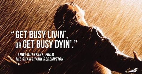 Embedded image Shawshank Redemption Quotes, Redemption Quotes, Get Busy Living, Tim Robbins, The Shawshank Redemption, Movies Worth Watching, Best Dramas, Film History, Great Movies