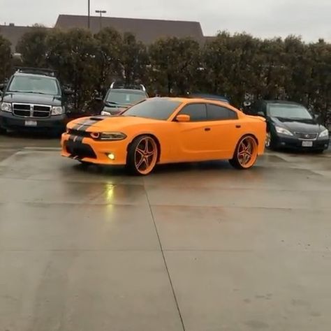 Ace-1 on Instagram: “Matte Orange Scatpack Charger on 26’s Forgiatos @clejuls23 #AceWhips.NET #dodge #mopar #charger #customwrap #oranges #forgiato #26s…” Orange Dodge Charger, Dodge Charger White, Scatpack Charger, Orange Charger, Donut Media, Dodge Charger For Sale, Scat Pack, Charging Car, Custom Wraps