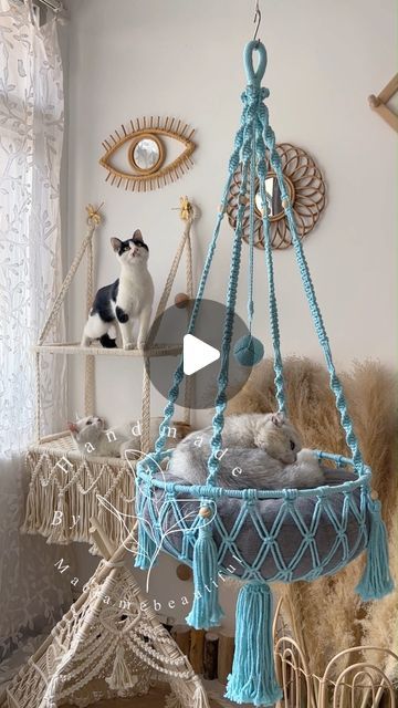 Emma Yang on Instagram: "Check out these cute cat hammocks we create, build a nice playground for your cat with our macrame design:)
CHECK THE LINKINBIO for the price and the details if you are Interested in this design.
.
.
.
#Cathammock #Catbed #cattoys #MacrameCatHammock #CatLovers #PetFurniture #FelineFriends #KittyComfort #WhimsicalStyle #PetAccessories #RelaxationStation #catnaptime #etsycreatorco #FestiveEtsyFinds" Macrame Cat Hammock, Cat Playground, Cat Hammock, Cute Cat Gif, Whimsical Fashion, Macrame Design, Mint Color, Cat Playing, Pet Furniture