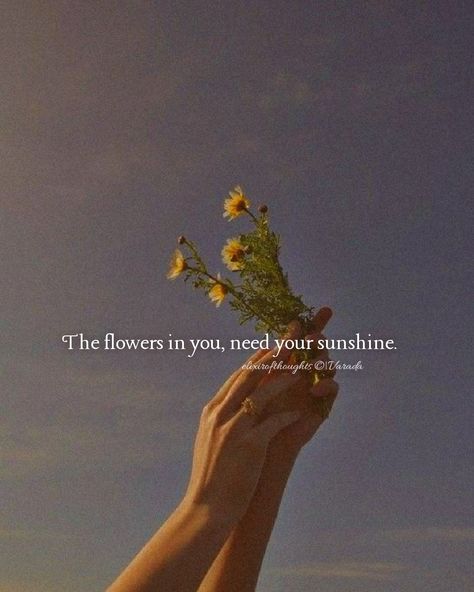 Be your own sunshine 🌻 Late Quotes, Self Love Quotes Woman, Single Line Quotes, Be Your Own Sunshine, Shine Quotes, Magical Quotes, Too Late Quotes, Self Motivation Quotes, Soothing Quotes