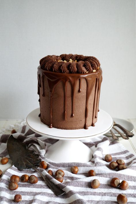 Chocolate Hazelnut Cake, Chocolate Fan, Famous Chocolate, Hazelnut Cake, Baking Basics, Bird Cakes, Chocolate Hazelnut Spread, Chocolate Frosting, Chocolate Hazelnut