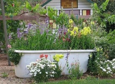 an old bathtub planted with flowers in the garden Garden Tub Decorating, Garden Bathtub, Old Bathtub, Unique Garden Decor, Small Water Features, Herb Garden Design, Cast Iron Tub, Beautiful Yards, English Country Gardens