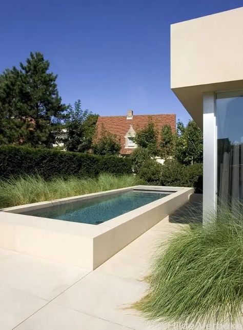 Lap Pools Backyard, Raised Pools, Garden Pool Design, Skimmer Pool, Lap Pools, House Pool, Minimalist Space, Above Ground Pools, Living Fence