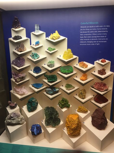 Rock Museum, Museum Display Cases, Minerals Museum, Museum Display, Jewelry Store Design, Crystals Store, Jewellery Exhibition, Rock And Pebbles, Museum Displays