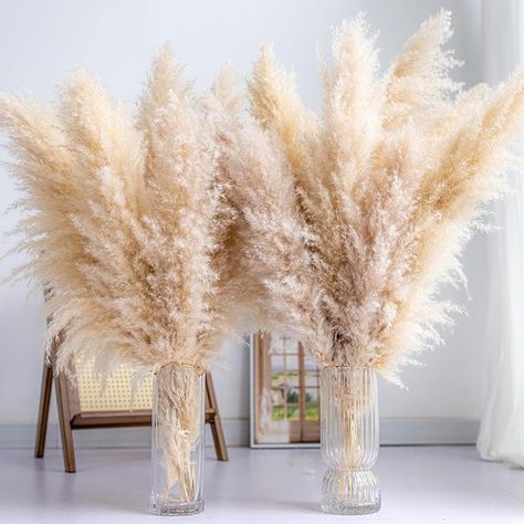 Amazon.com: Tall Pampas Grass 30PCS Boho Decor Natural Home Decor Phragmites Dried Flowers Bouquet for Wedding Floral Arrangements Home Decorations (30PCS Tall pampas grass) : Home & Kitchen Wedding Floral Arrangements, Diy Wedding Arch, Dried Flowers Bouquet, Boda Diy, Pampas Grass Bouquet, Dried Pampas, Grass Decor, Events Decor, Pampas Grass Decor