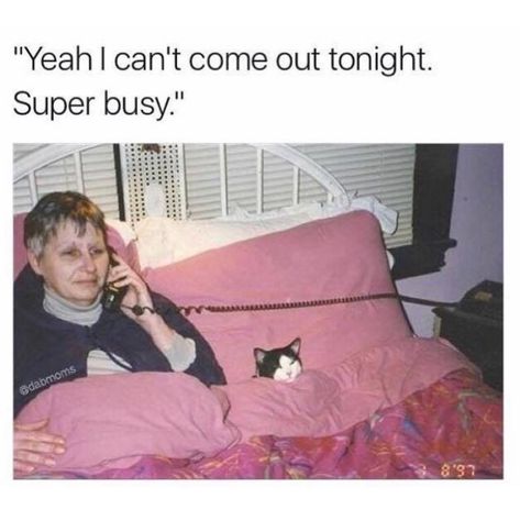 I can't go out tonight. Super busy People Poses, On The Phone, Samoa, Silly Cats, Crazy Cat Lady, 귀여운 동물, Crazy Cats, Cat Pics, Funny Cute