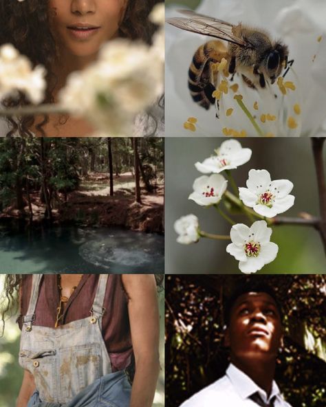 Their Eyes Were Watching God by Zora Neale Hurston aesthetic There Eyes Were Watching God, Their Eyes Were Watching God Art, Their Eyes Were Watching God Aesthetic, Michaela Core, Folk Aesthetic, Their Eyes Were Watching God, Sterling Brown, Louisiana Creole, Zora Neale Hurston