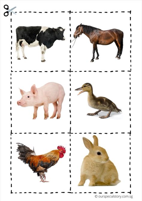 The ability to match is a fundamental skill to many concepts. It is also essential to language development when a child is learning to read or write. In this printable, your child will learn to attend to the details of each farm animal by comparing their different features. 3rd Worksheets, Printable Farm Animals, Farm Animals For Kids, Teaching Kids Letters, Farm Animals Activities, Preschool Activities Printable, Vegetable Pictures, Kindergarten Classroom Decor, Animal Printables