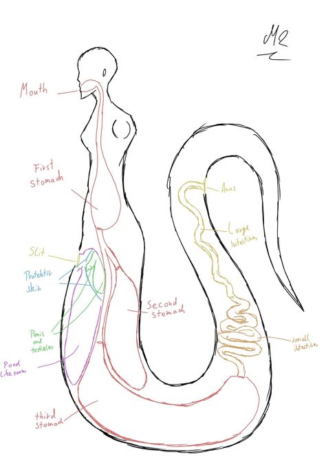 Naga Anatomy, Centaur Anatomy, Snail Character, Scp 049, Maya Art, Humanoid Creatures, Monster Concept Art, Fantasy Creatures Art, Concept Art Drawing