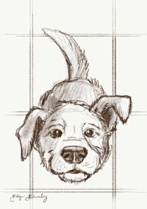 Dog Simple Sketch, How To Draw Ox Step By Step, Dog Chasing Tail Illustration, Cute Animal Drawings Pencil, Dog Sketch Reference, Dog Drawing Sitting, Cool But Simple Drawings, Drawing Dog Eyes, Dog Drawing Simple Cute