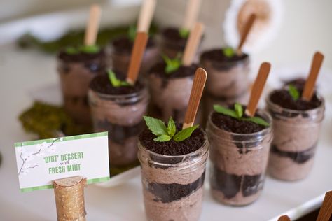 Nature theme party Themed Graduation Party, Dirt Dessert, Enchanted Forest Birthday, Forest Birthday Party, Nature Party, Graduation Party High, Forest Birthday, High School Graduation Party, Themed Desserts