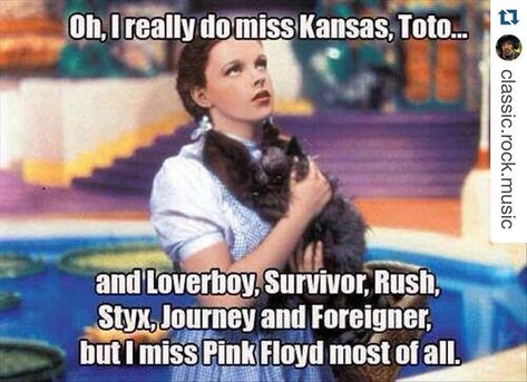 #Repost @classic.rock.music ・・・ #kansas #survivor #rush #styx #journey #foreigner #pinkfloyd #dorothy #toto #wizardofoz #meme #classicrock #classicrockmusic #wearyourmusic #whosestringsareyouwearing Judy Garland, Mötley Crüe, Funny Bunnies, Music Humor, I Love Music, All Music, Led Zeppelin, Wizard Of Oz, Classic Rock