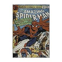 Spiderman Comic Covers, Spiderman Classic, All Avengers, Spider Man Comic, Stark Industries, National Heroes, Bedroom Playroom, Spiderman Comic, I'm With The Band