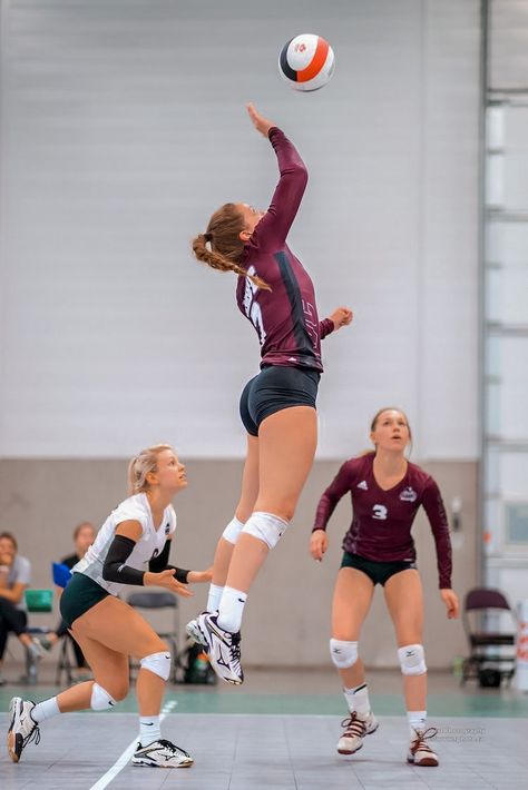 Volleyball Photography, Indoor Volleyball, Volleyball Photos, Volleyball Poses, Volleyball Inspiration, Female Volleyball Players, Volleyball Workouts, Volleyball Training, Sport Volleyball