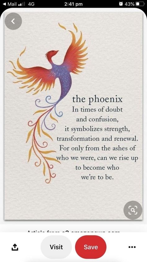 Micro Phoenix Tattoo, Phenix Tattoo Meaning, Phoenix Symbol Meaning, Phenix Tattoo For Women Simple, Raising Phoenix Tattoo, Meaning Of Phoenix Tattoo, Phoenix Tattoo Meaning Woman, Phoenix Bird Tattoos Woman Arm, Phenix Tattoo Design For Women