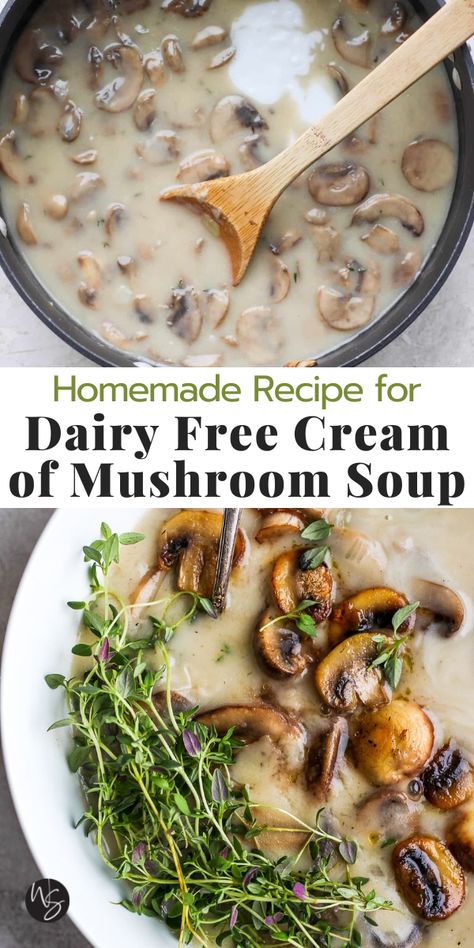 No Cream Mushroom Soup, Mushroom Gluten Free Recipes, How To Make Cream Of Mushroom Soup, Non Dairy Cream Soups, Gluten Free Cream Of Mushroom Soup, Mushroom Soup No Cream, Dairy Free Cream Of Chicken Soup, Dairy Free Mushroom Soup Recipes, Dairy Free Cream Soup