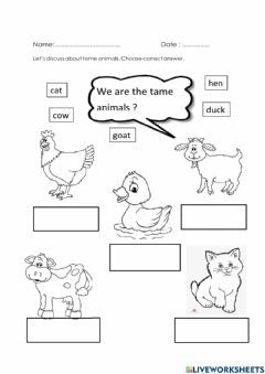 Tame-domestic animals Language: English Grade/level: Preshool School subject: English Preschool Main content: Spel and read Other contents: Tame Animals Activities For Preschool, English Preschool, Animals Worksheet, Tame Animals, Kindergarten Reading Activities, Kindergarten Reading Worksheets, Animal Worksheets, Learning English For Kids, Domestic Animals