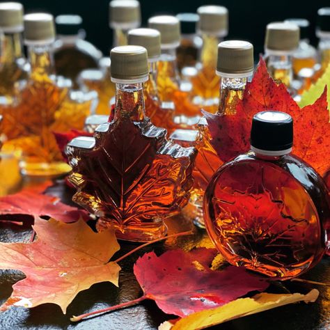 Couching Lion Maple Sugar Farm – Maple Sugar Farm<br />Huntington, Vermont Maple Syrup Aesthetic, Syrup Aesthetic, Maple Aesthetic, Sweet Trees, Maple Sugar, Sugar Maple, Farmers Markets, Chocolate Sauce, Spice Blends