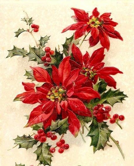 Christmas Prayer, Christmas Ephemera, Vintage Christmas Images, Christmas Graphics, Christmas Poinsettia, Old Christmas, Old Fashioned Christmas, Christmas Flowers, Christmas Past